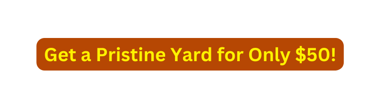Get a Pristine Yard for Only 50